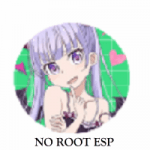 No Root ESP