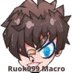 Ruok999 Macro